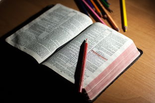 开云网页版-体育教师能力认证制度在试点城市启动，体育教师资格证认定条件